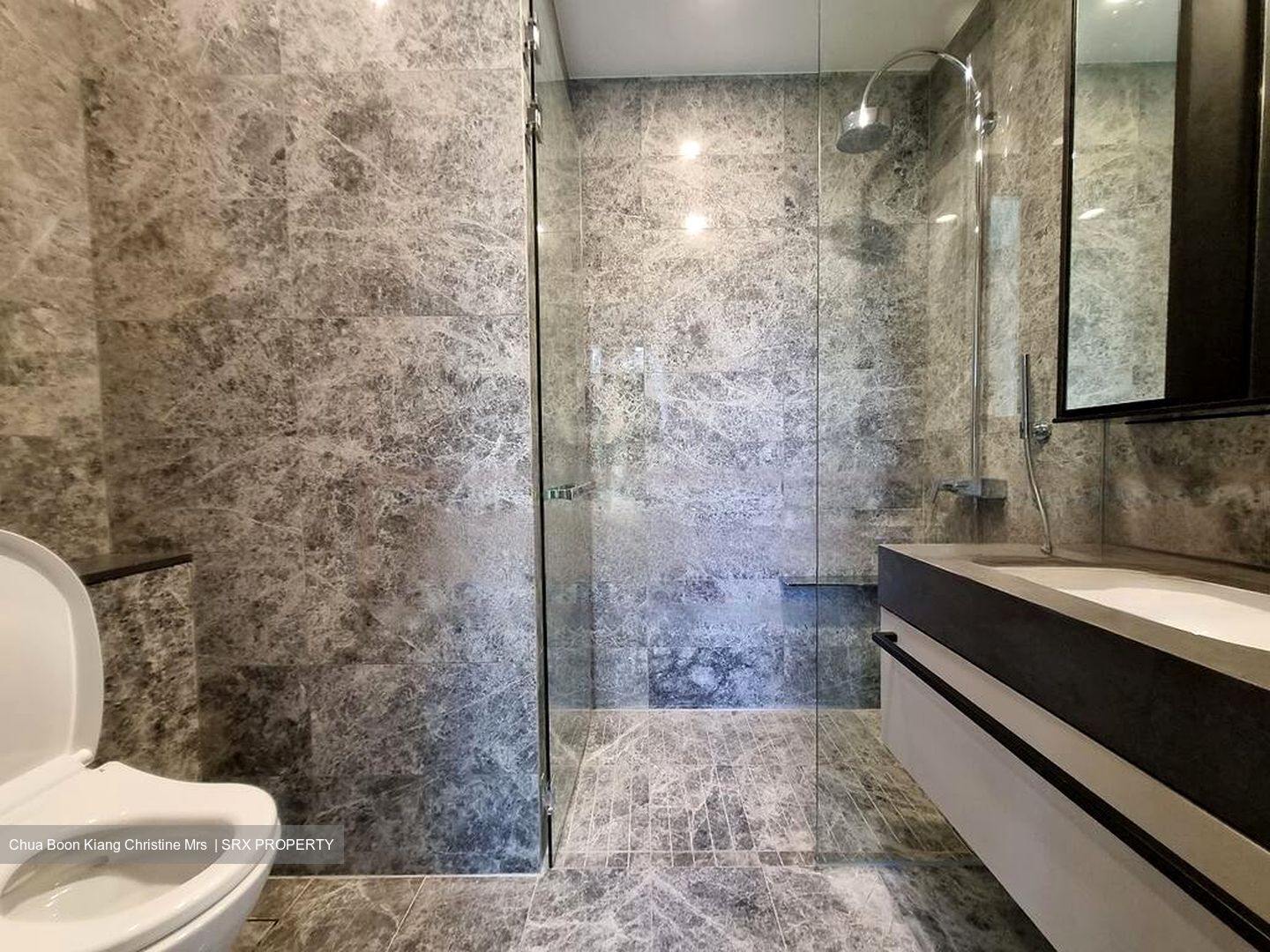 Holland Grove Road (D10), Condominium #475748981